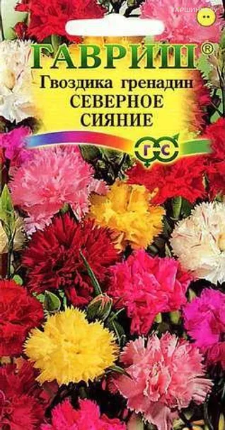 Гвоздика садовая гренадин Северное сияние Смесь 0,1г