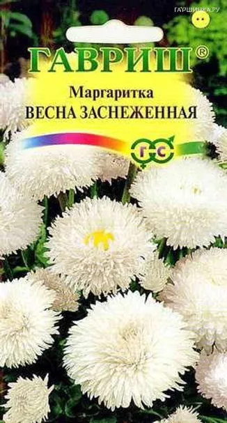 Маргаритка Весна заснеженная 0,05г