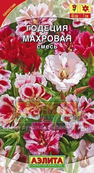 Годеция Махровая, смесь ц/п