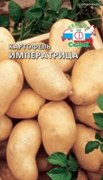 Картофель Императрица 0,02 г, Семена Седек