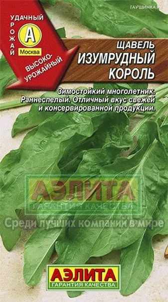 Щавель Изумрудный король