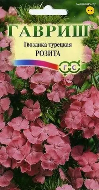 Гвоздика турецкая Розита смесь 0,2г