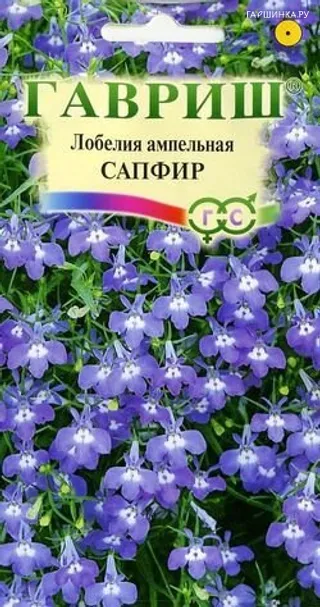 Лобелия Сапфир, ампельная * 0,05