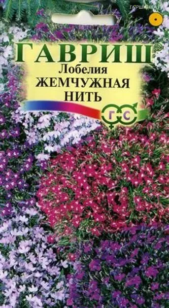 Лобелия Жемчужная нить* 0,05