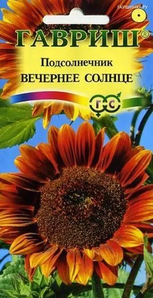 Подсолнечник Вечернее солнце 0,5 г