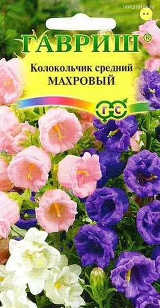 Колокольчик махровый средний 0,1г