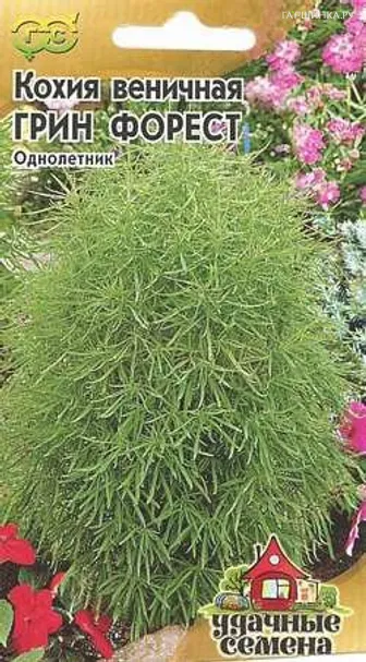 Кохия веничная Грин Форест 0,3 г