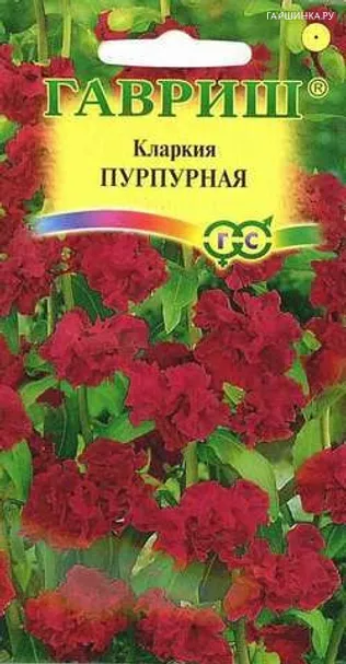 Кларкия Пурпурная , изящная * 0,1 г