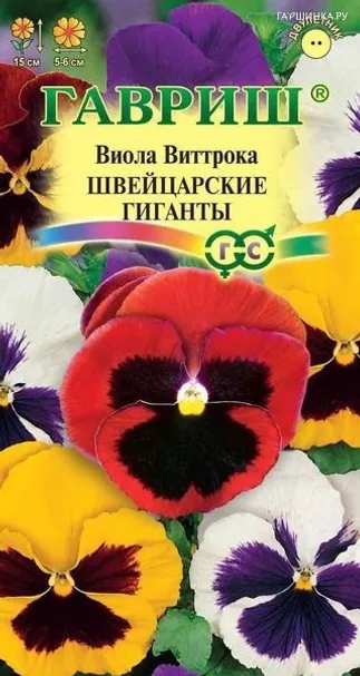 Виола Швейцарские гиганты, Виттрока (Анютины глазки)* 0,1г