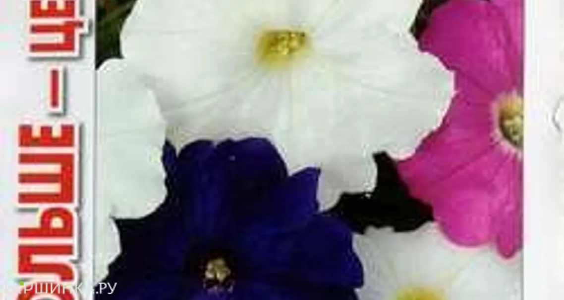 Петуния Русалочка амп. смесь* 0,25 г