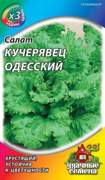 Салат Кучерявец Одесский 0,5 г