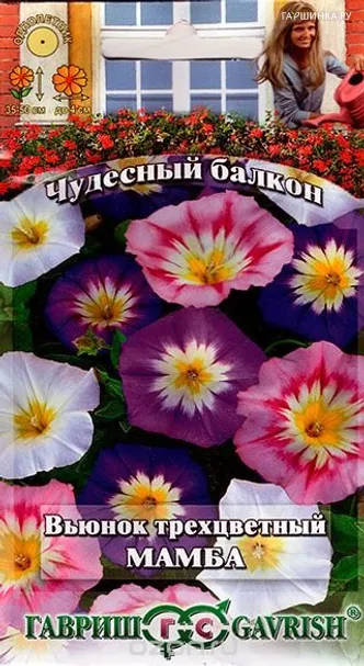 Вьюнок Трехцветный Мамба, смесь 0,5 г