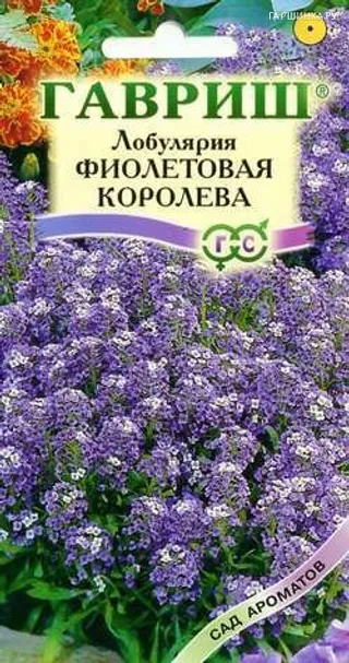 Лобулярия Фиолетовая королева 0,2г