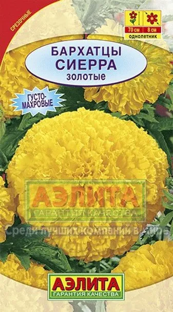 Бархатцы Сиерра золотые ц/п