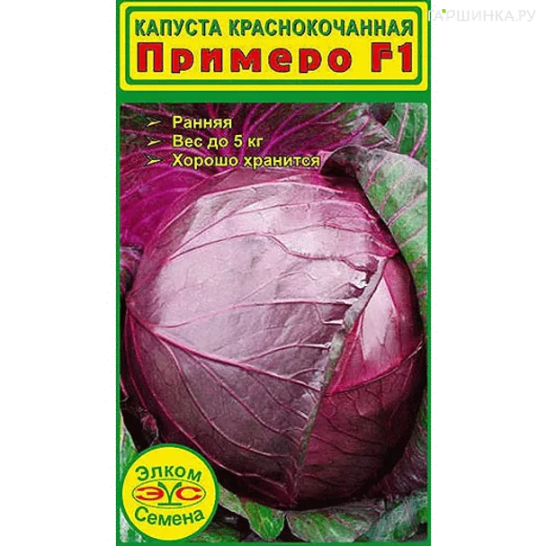 Краснокочанная капуста Примеро F1 10 шт