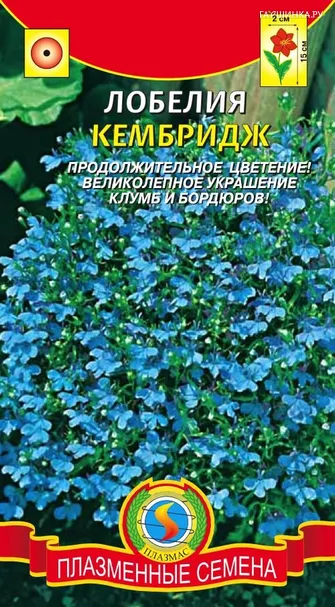 Лобелия Кембридж ц/п