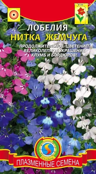 Лобелия Нитка жемчуга ц/п