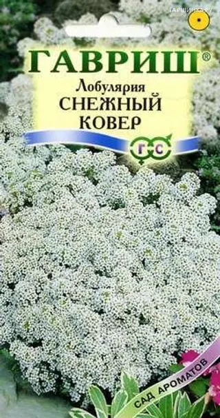 Лобулярия Снежный ковер 0,2г