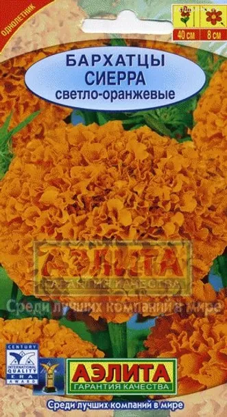Бархатцы Сиерра светло-оранжевые ц/п