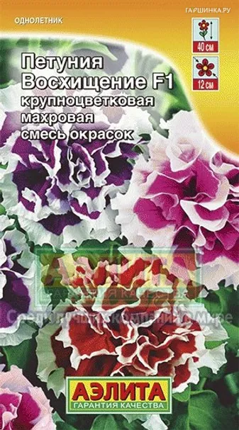 Петуния Восхищение  махровая