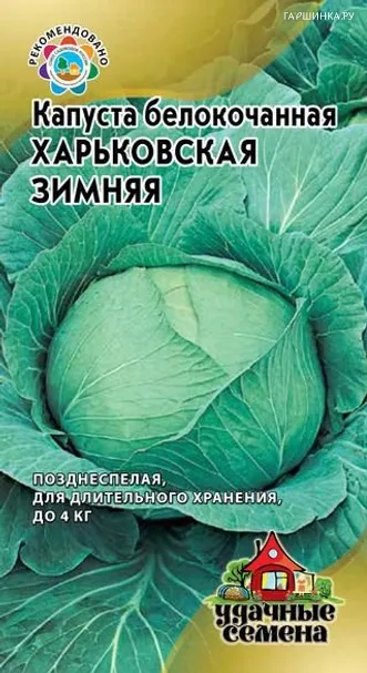 Капуста Харьковская зимняя белокочанная (для квашения) 1 г БП