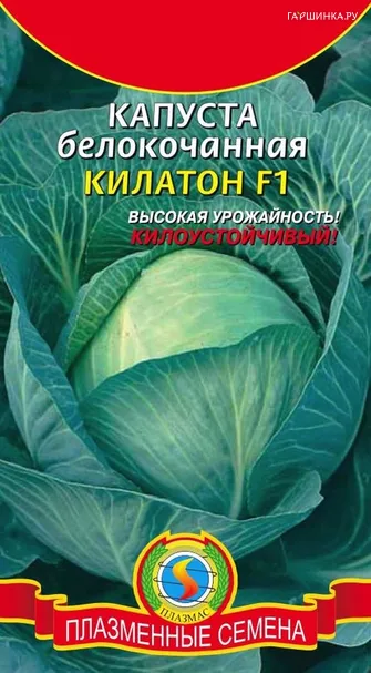 Капуста Килатон F1 белокочанная