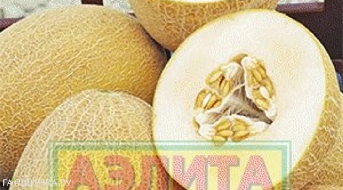 Дыня Нектарин ц/п, Семена Аэлита