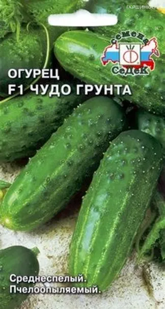Огурец Чудо грунта F1 0,3г