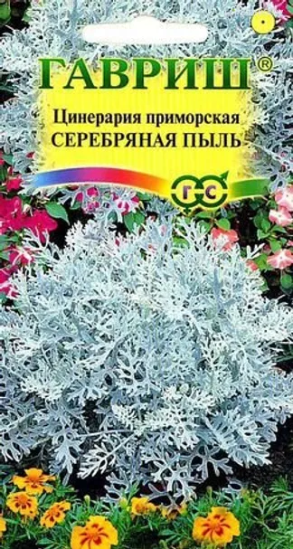 Цинерария Серебряная пыль 0,1г