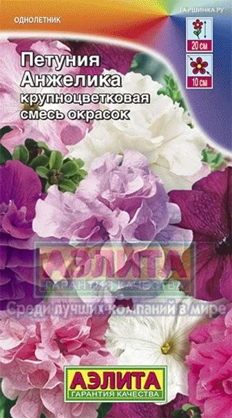 Петуния Анжелика крупноцветковая, смесь окрасок