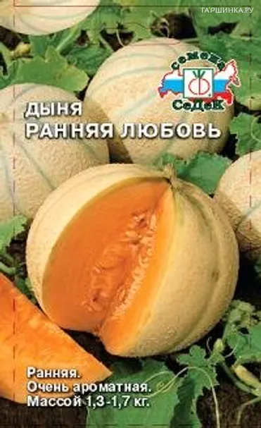 Дыня Ранняя Любовь ц/п