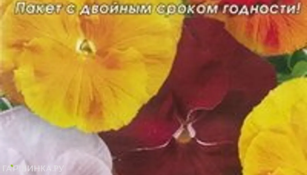 Анютины глазки Милашки, смесь