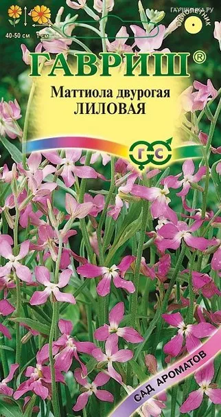 Маттиола двурогая Лиловая 0,5 г