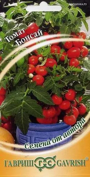Томат Бонсай балконный