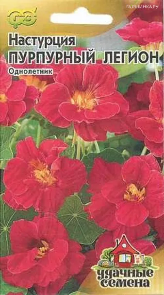 Настурция Пурпурный легион махр. 1,0г