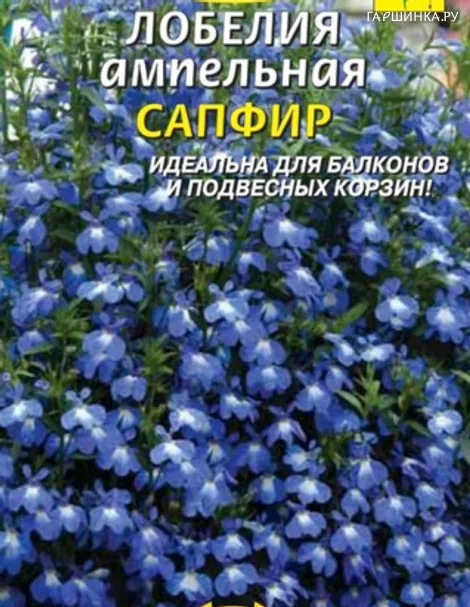 Лобелия Сапфир , ампельная 0,05 г