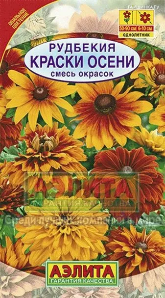 Рудбекия Краски осени, смесь окрасок