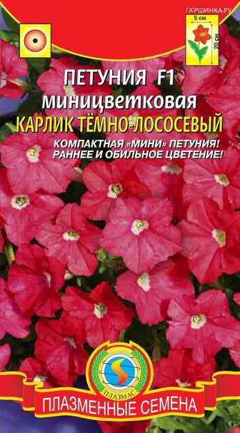 Петуния F1 миницветковая Карлик Темно-лососевый