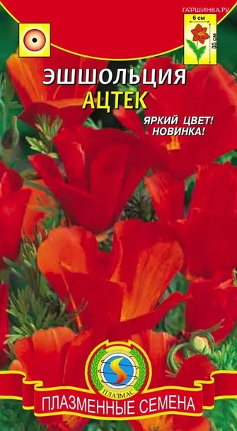 Эшшольция Ацтек