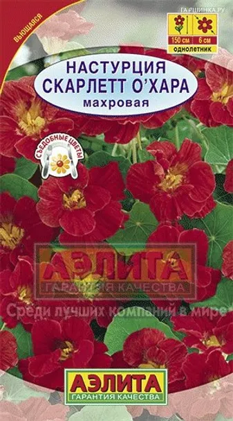 Настурция Скарлетт О~ Хара махровая