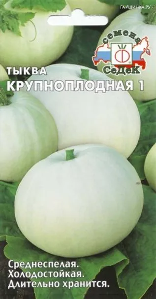Тыква Крупноплодная-1 2г