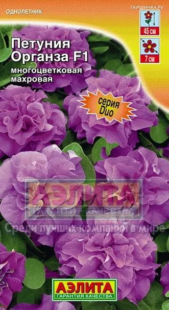Петуния Органза F1 многоцветковая махровая