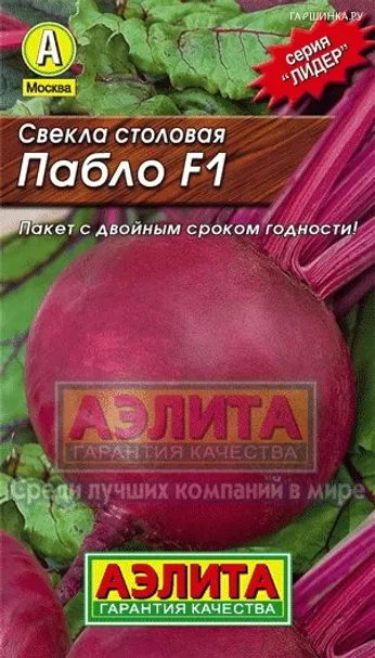 Свекла столовая Пабло F1, Лидер