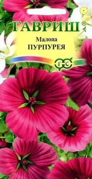 Малопа Пурпурея* 0,1