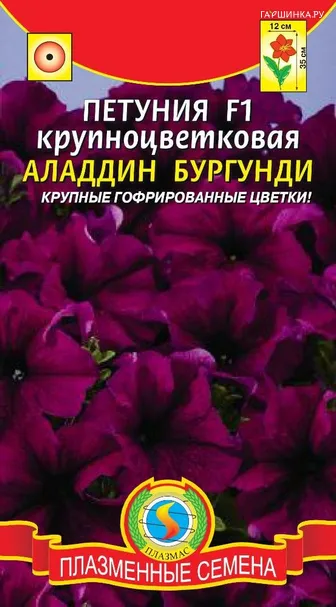 Петуния F1 крупноцветковая Аладдин Бургунд