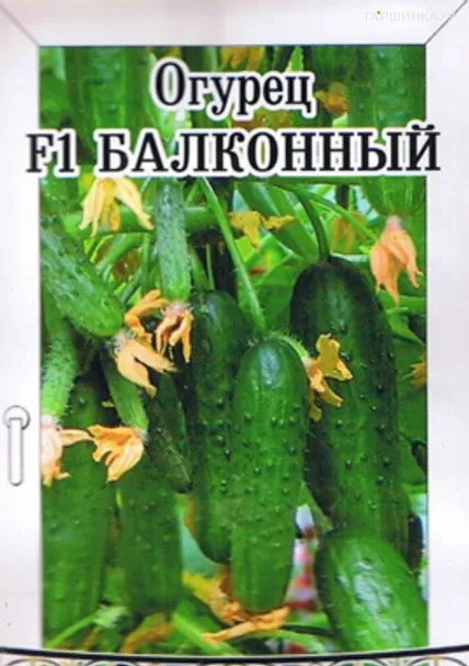 Огурец Балконный F1 12шт