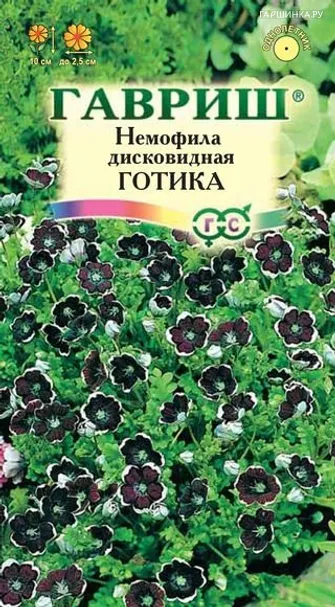 Немофила дисковидная Готика 0,2 г