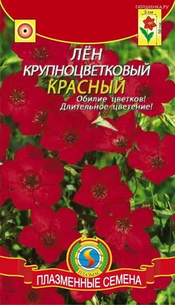 Лен крупноцветковый красный