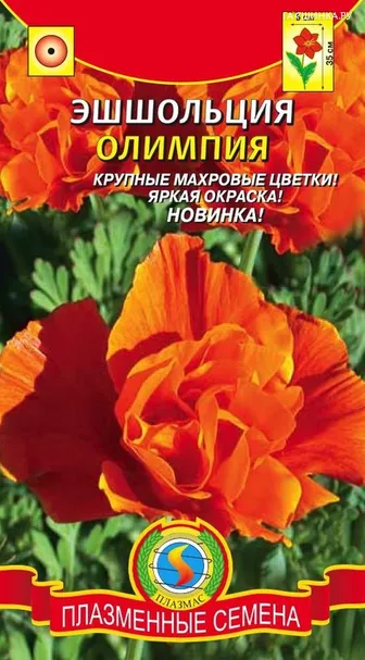 Эшшольция Олимпия