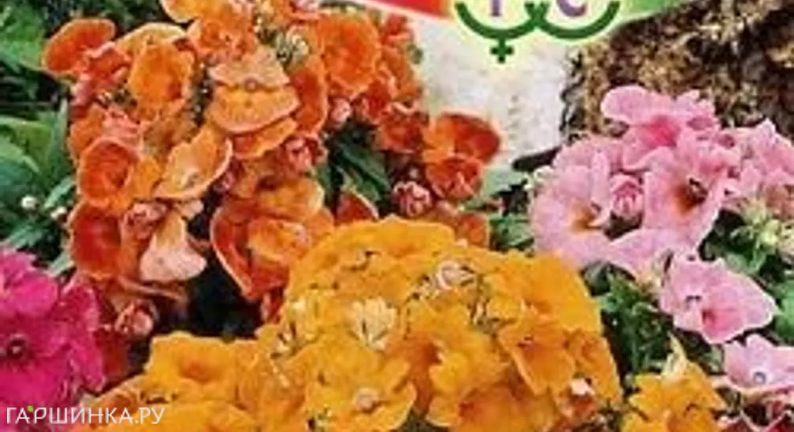 Немезия Триумф, смесь* 0,02 г